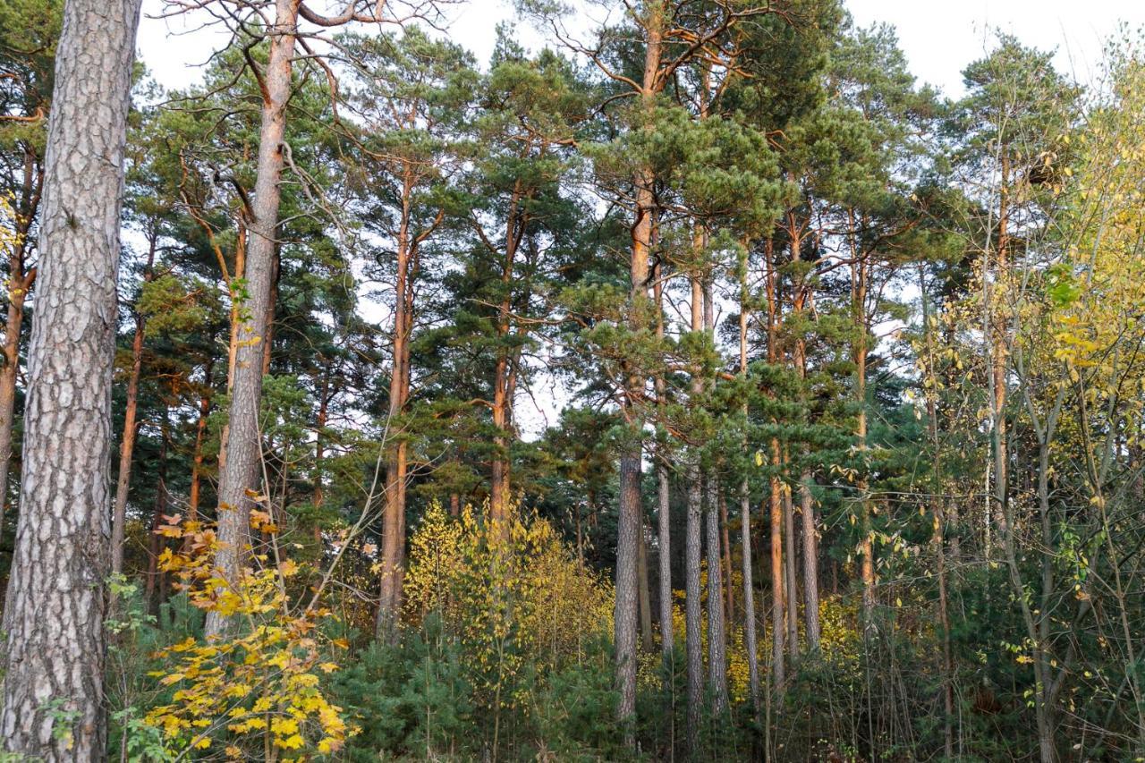 Lat4Rest Appartement Prienai Buitenkant foto